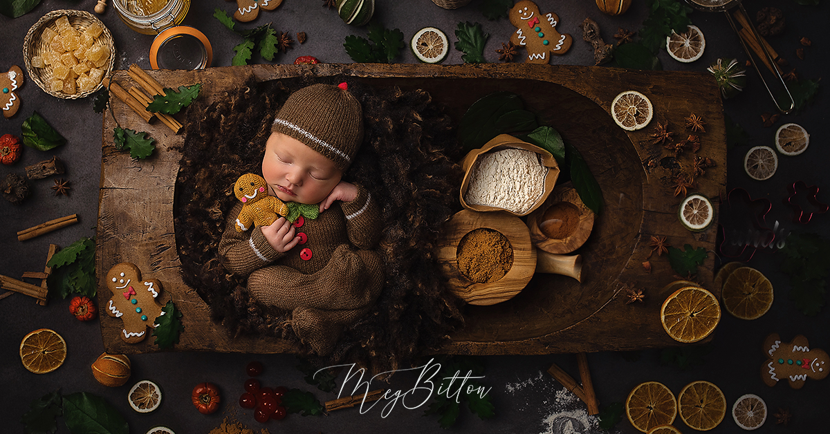 Aofie-NEW-Digital-Background-_Gingerbread-Baby_WebAss_1200x648